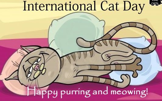 Happy International Cat Day! | Crazy Cat Lady Corner